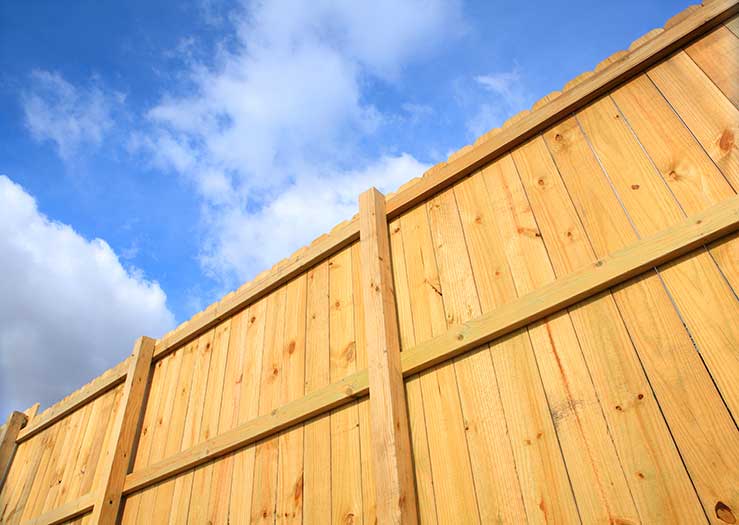 Garden fencing services